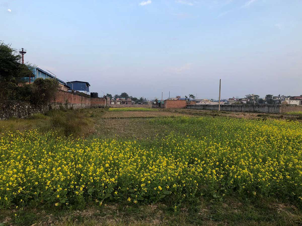 Biratnagar