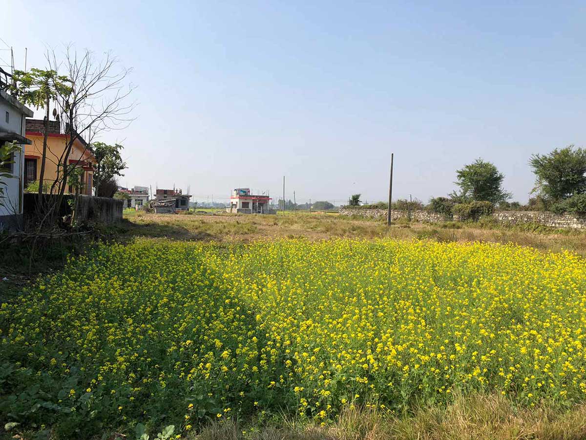 Biratnagar