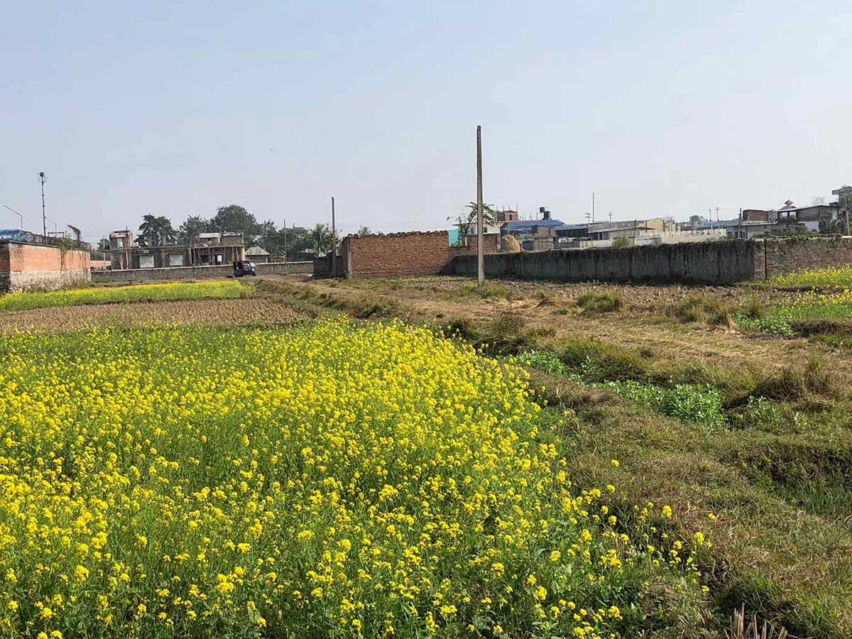 Biratnagar