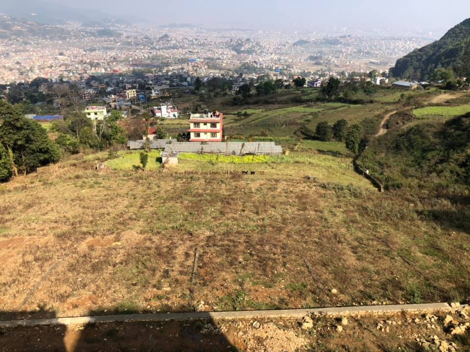 Dhaksi