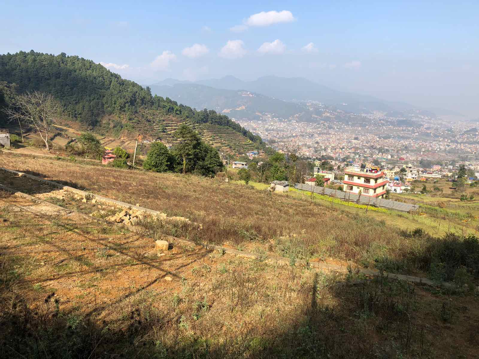 Dhaksi