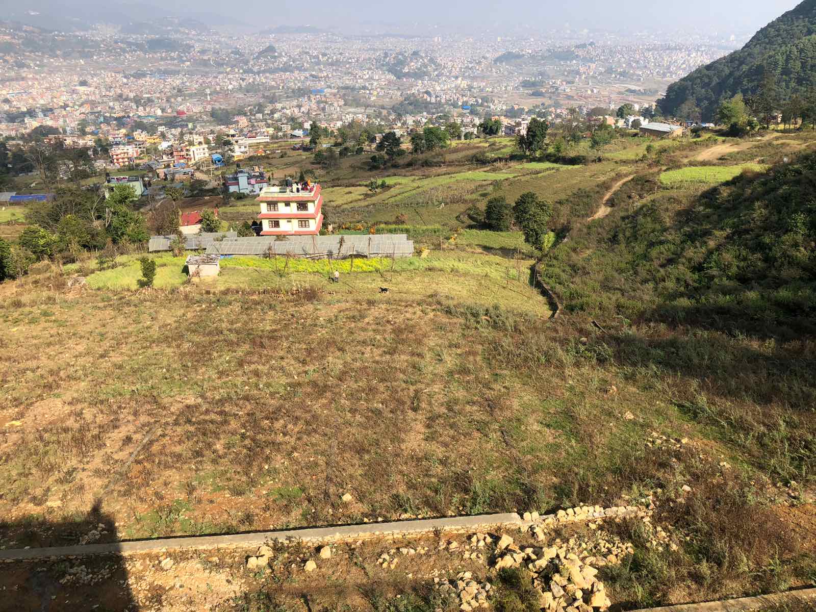 Dhaksi