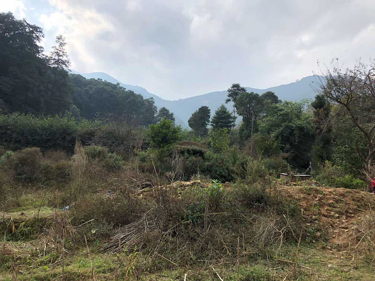 mataritha