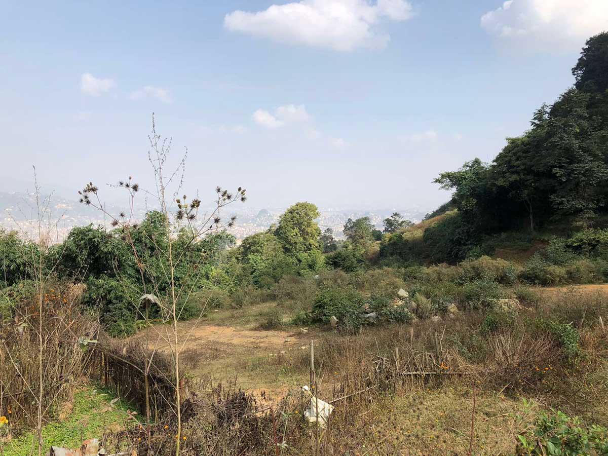 mataritha
